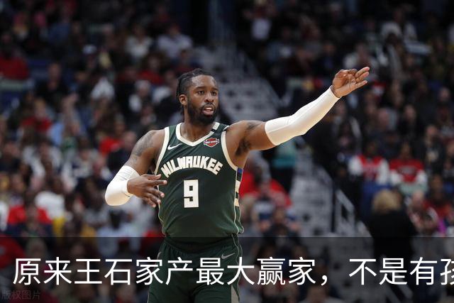 原来王石家产最大赢家，不是有孩子的田朴珺，而是不露面的大女儿