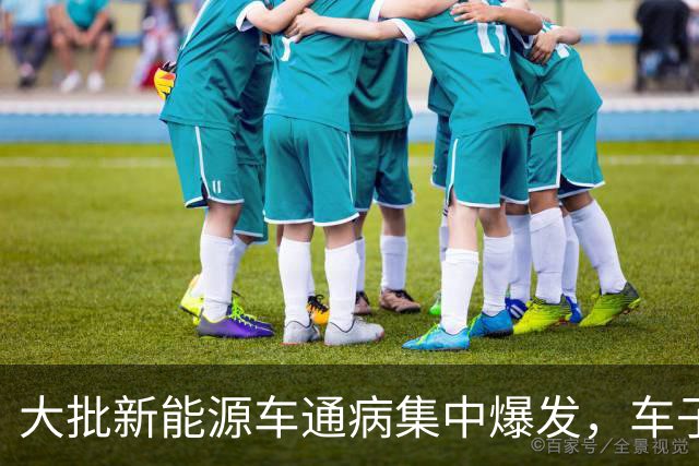 大批新能源车通病集中爆发，车子开着没毛病，电池却直接报废