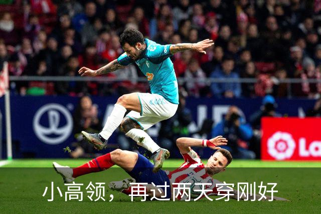 小高领，再过两天穿刚好